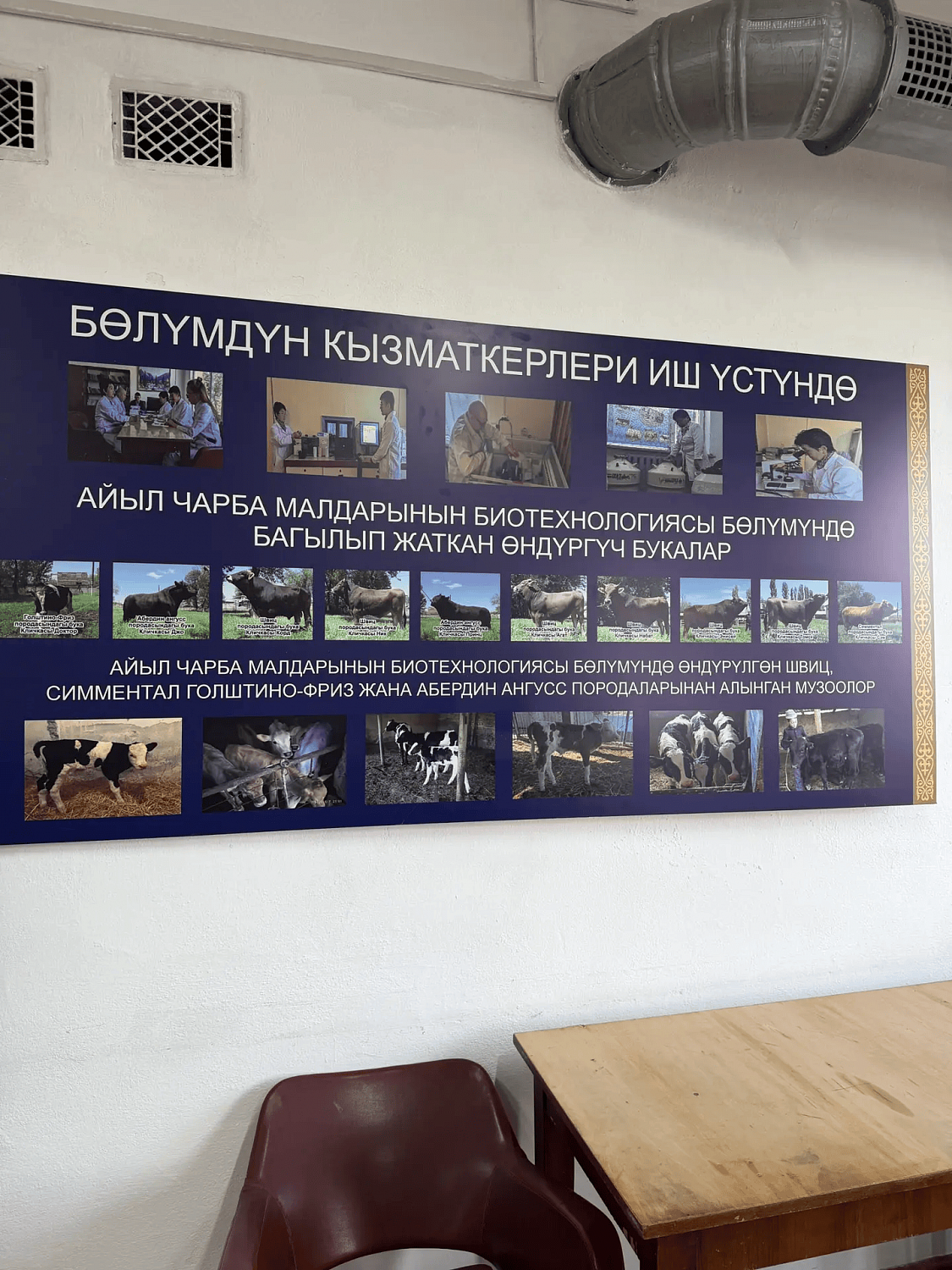 Укрепление племенных связей: итоги ответного визита делегации Чувашии в Киргизию